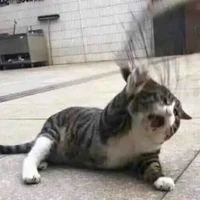 Kiều Xuân Kiệt(Shu)