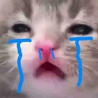 Nguyễn Phạm Quỳnh Như(Miyano)