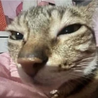 cô giáo