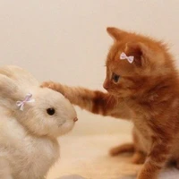 Hệ thống của hai con bò