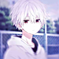 ZEN_SAN (T/g 2)
