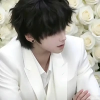 Vương Lỗ Kiệt (Lulu)