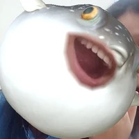 không có tiền