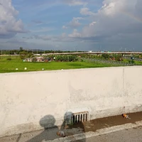Cả lớp!
