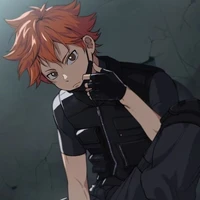 Hinata Shoyo/Sunshine