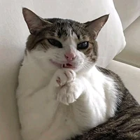 nhận vật //nữ//