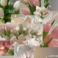 mẹ tác giả