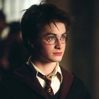 Harry James Potter