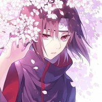 Uchiha itachi_ hai