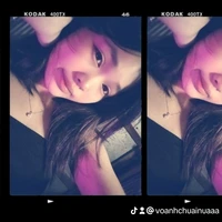 hồng mai
