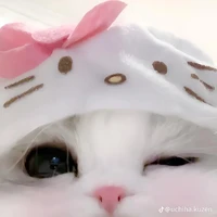 Hẹ Hẹ (tg) 