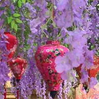 (Tập thể)