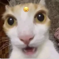 iktg skibidi đốp Say Hi đây 😛🎉