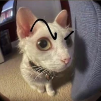 -Tác giả skibidi-