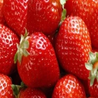 cu li kít (lười tìm ảnh)