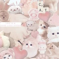 vô vàn nhân vật