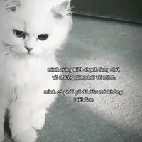 Rivol...(bản thể chính...)