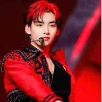 Huỳnh Hoàng Hùng(Gemini)