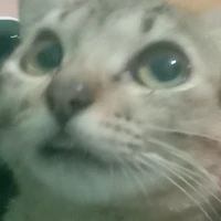 tg