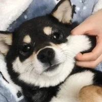 Sáu Cân 🐶