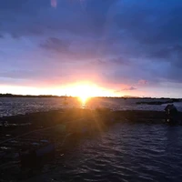 những người có ở đó 