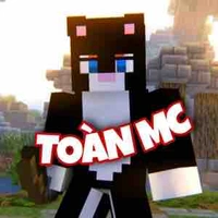 Toàn 
