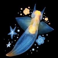 Angoles [Hệ thống 106]