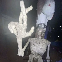 Thầy Hiệu trưởng