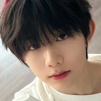 trần dịch hằng