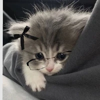 Tác Giả Kawai >w<