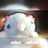 chuột🐁 đy( tg)