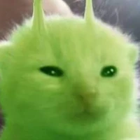 cân tất cả vai diễn