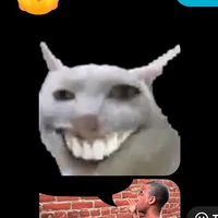 GVCN