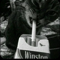 hạnh nguyen ( t/G )