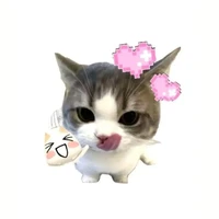 toi đag lụy tình