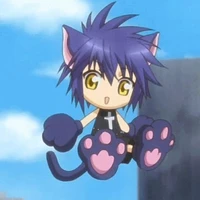 Yoru