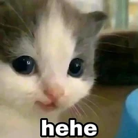 con tác giả chuyên Văn