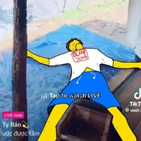 Tác giả dưa muối à