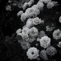 Nhân vật phụ ok?