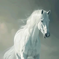 Bạch Mã_Bạch Tuyết