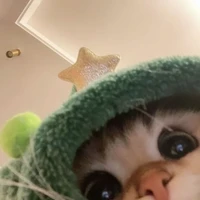 huynhxu.vir