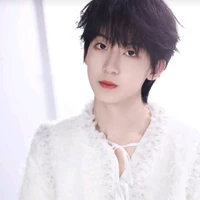 Dương Bắc Văn ( em)