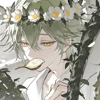 Jakie/chuối xanh lá/