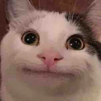 Sai Đẹp Triêu(t/g)