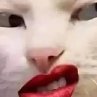 hệ thống siêu cấp vũ trụ ( hay móc đít 
