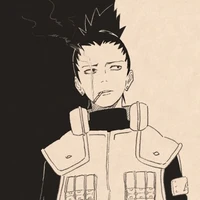 📟 Shikamaru Nara