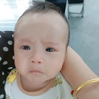 con hệ thống cute