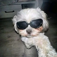 nhỏ tác cuồng baby