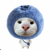 HV