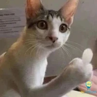 all [trừ ai thì trừ]